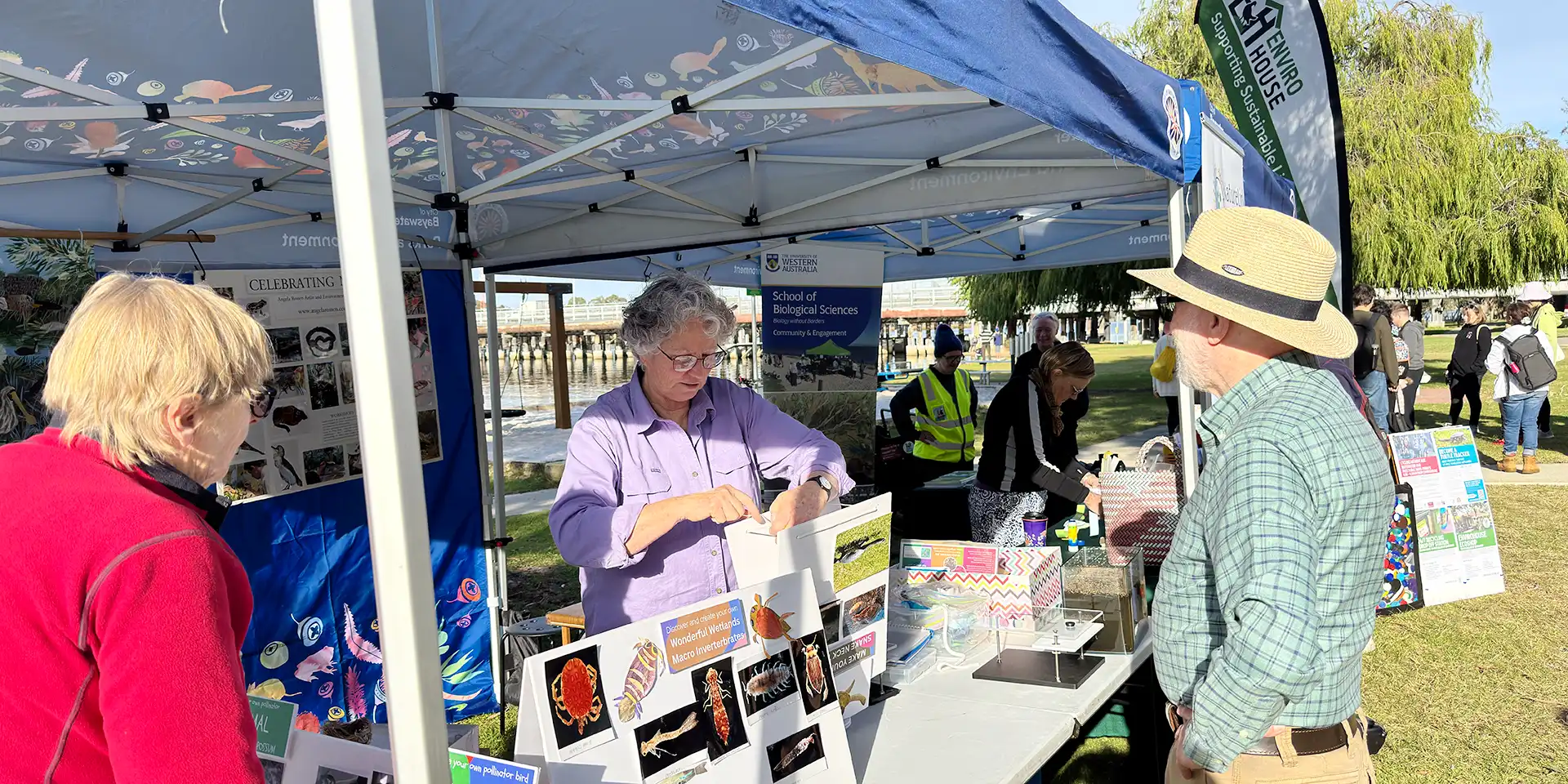 Biodiversity educator Angela Rossen setting up a display as part of the City of Bayswater 'Wonderful Wetlands' project