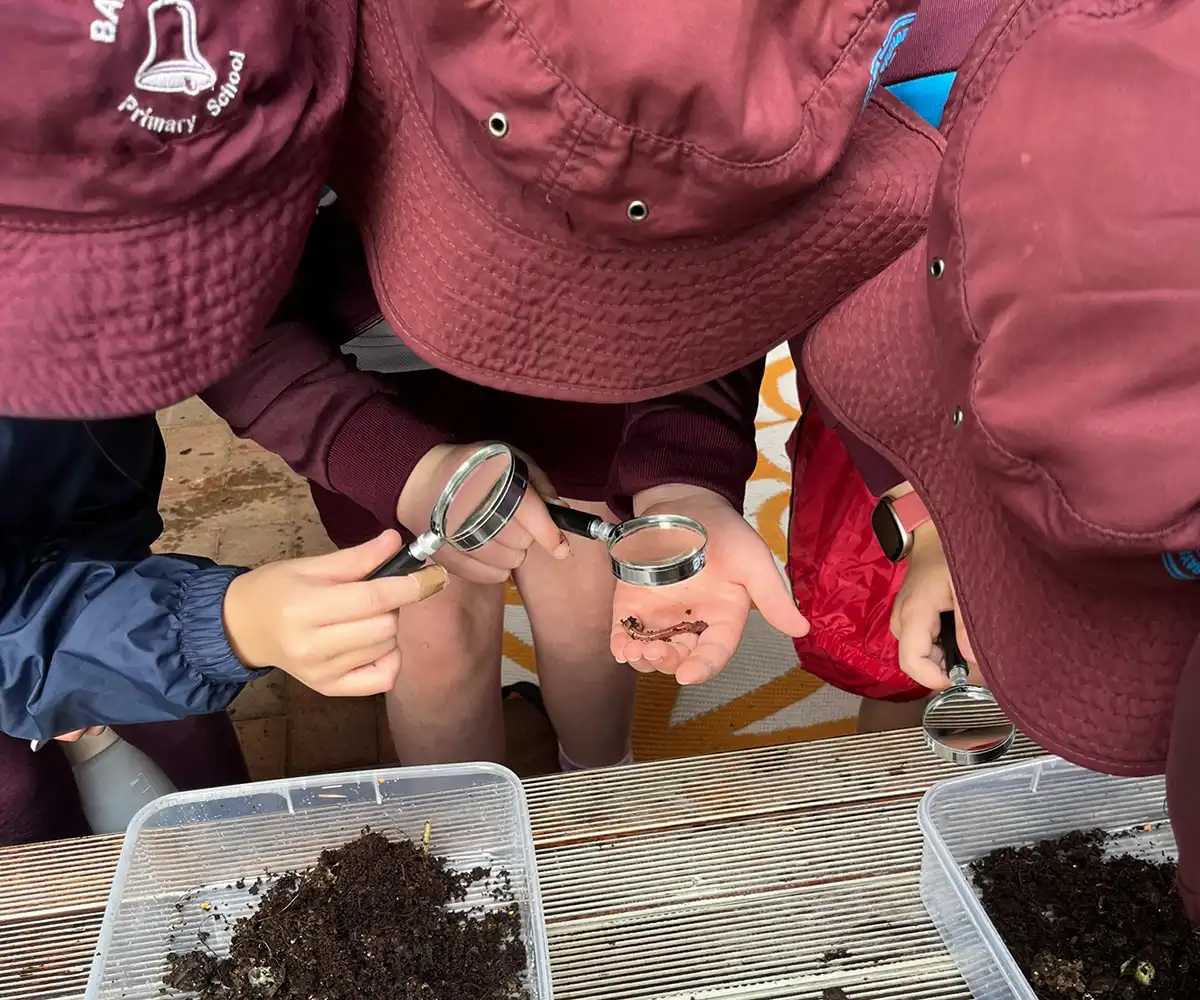 Students look at worms through magnifying glasses