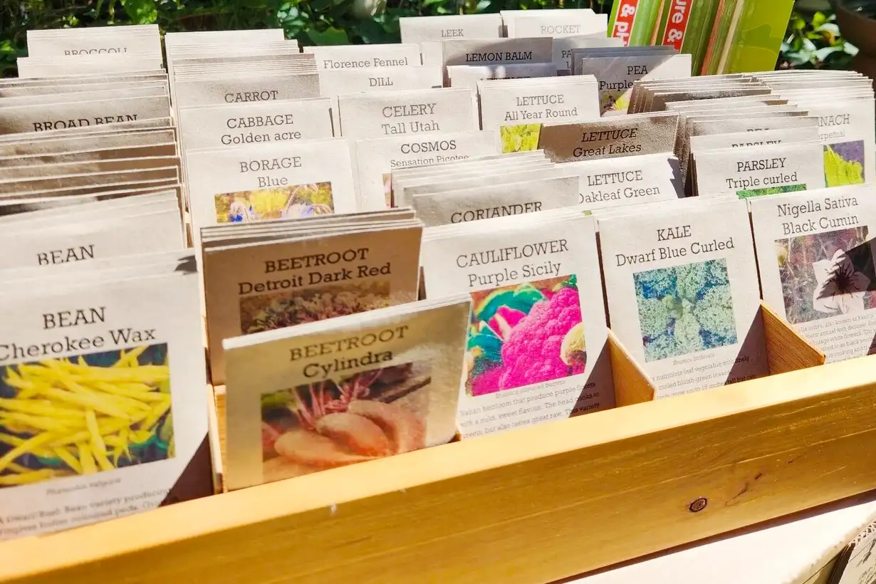 Packets of seeds in the EnviroHouse EcoShop