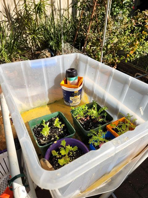 Make a Simple Hothouse