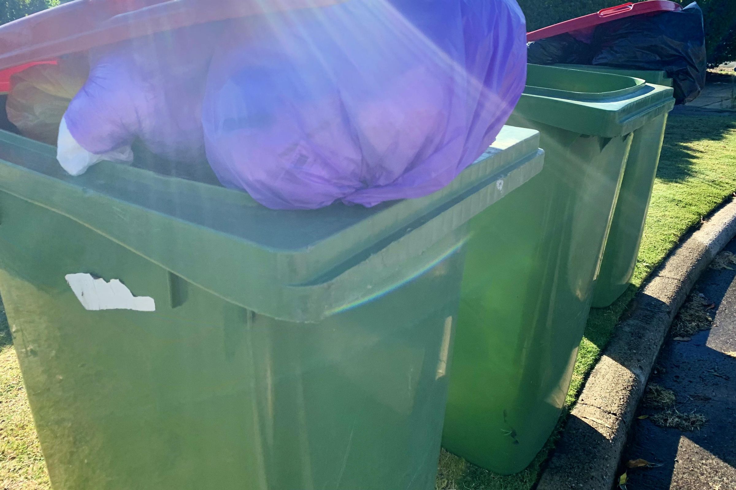 Red-lidded bin diet tips