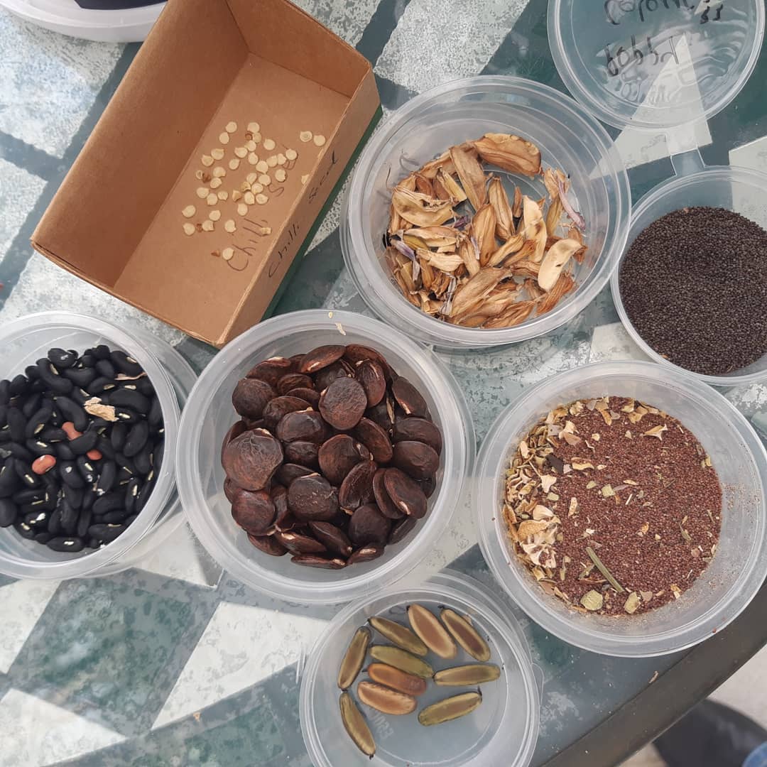 A seed swap table at a Share and Repair event