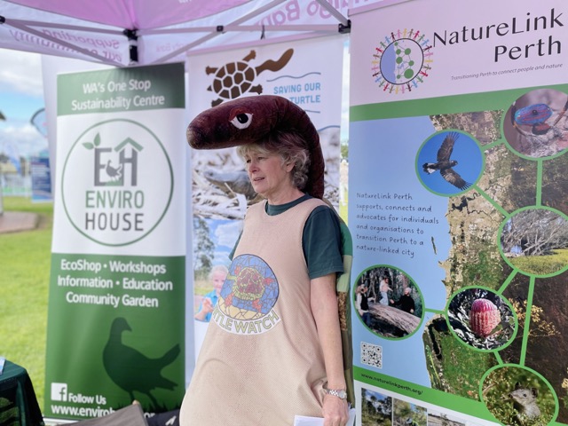 Dr Jane Chambers wearing a turtle costume at a community information stall.