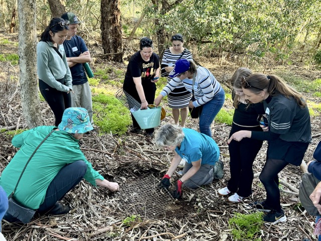 Jane Chambers and a turtle training group inspecting a protected turtle nest