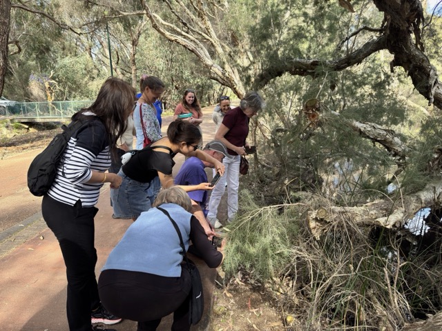A group gathers at the water's edge for a turtle release