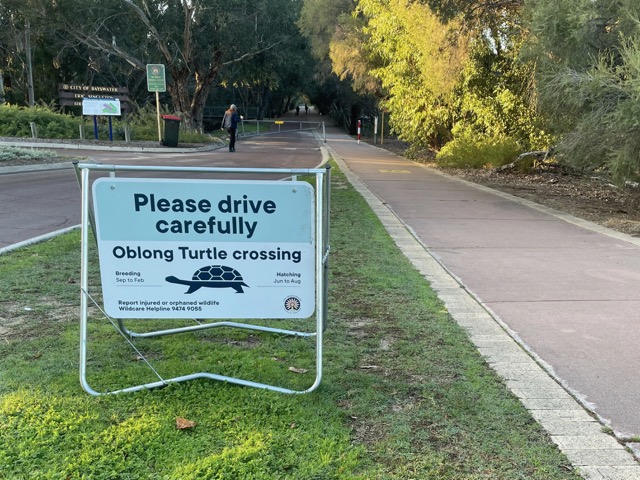 A roadside sign asking drivers to slow down for an Oblong Turtle crossing